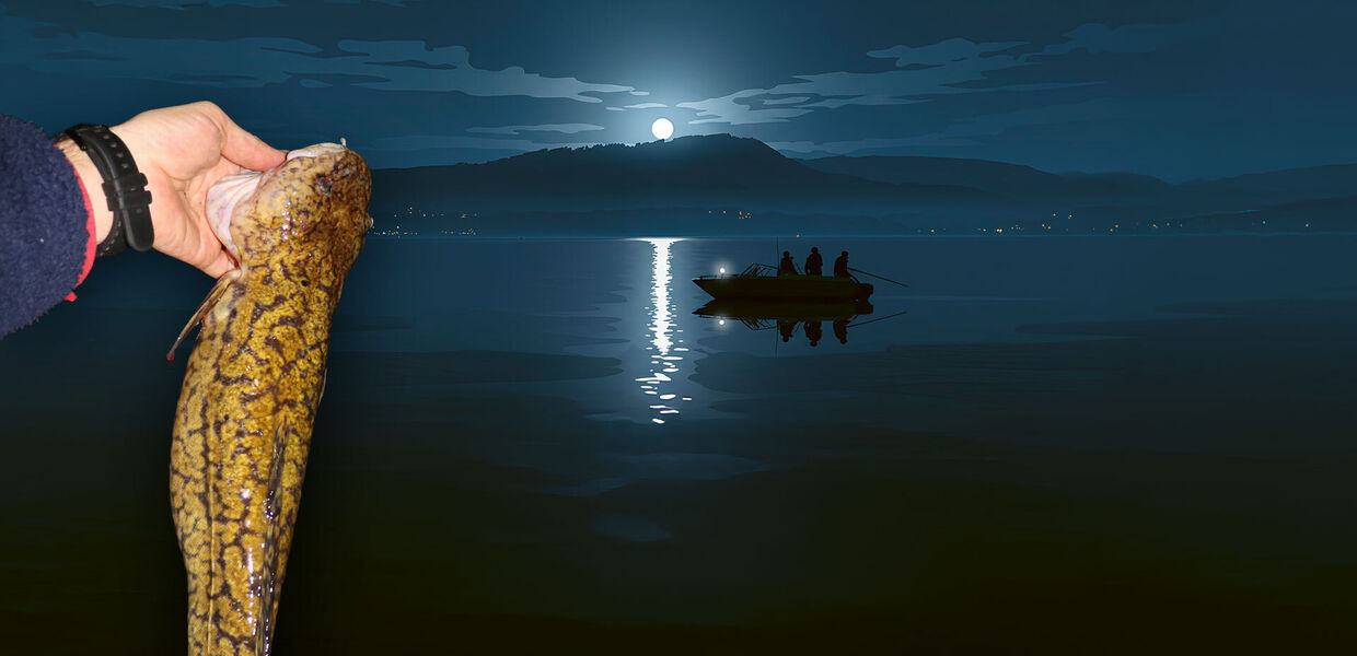 Vom Boot aus auf Trüschen