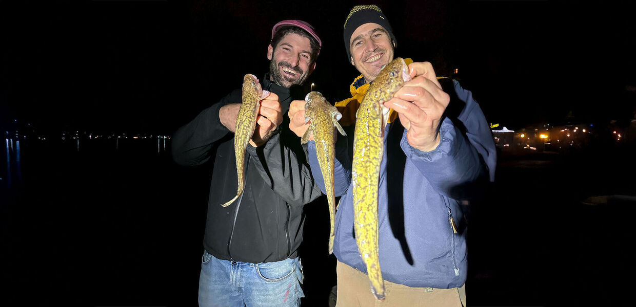 Vom Ufer aus auf Trüschen