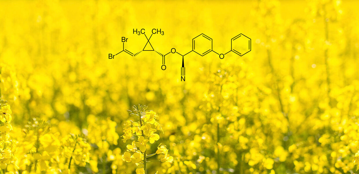[Deltamethrin:] Gift für unsere Gewässer