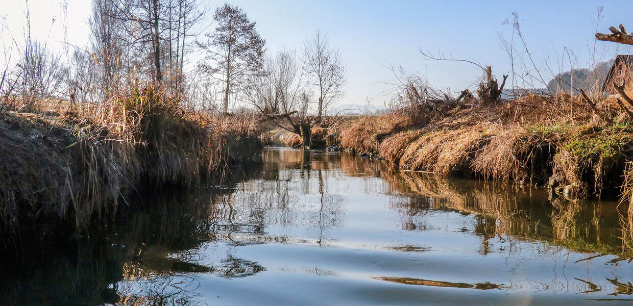 Wyna: Jetzt reden die Pächter