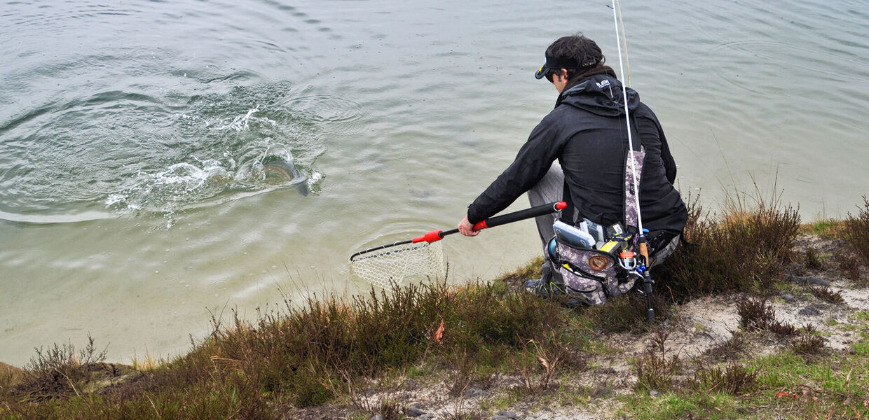 Feumer: [Der unterschätzte Begleiter am Wasser]
