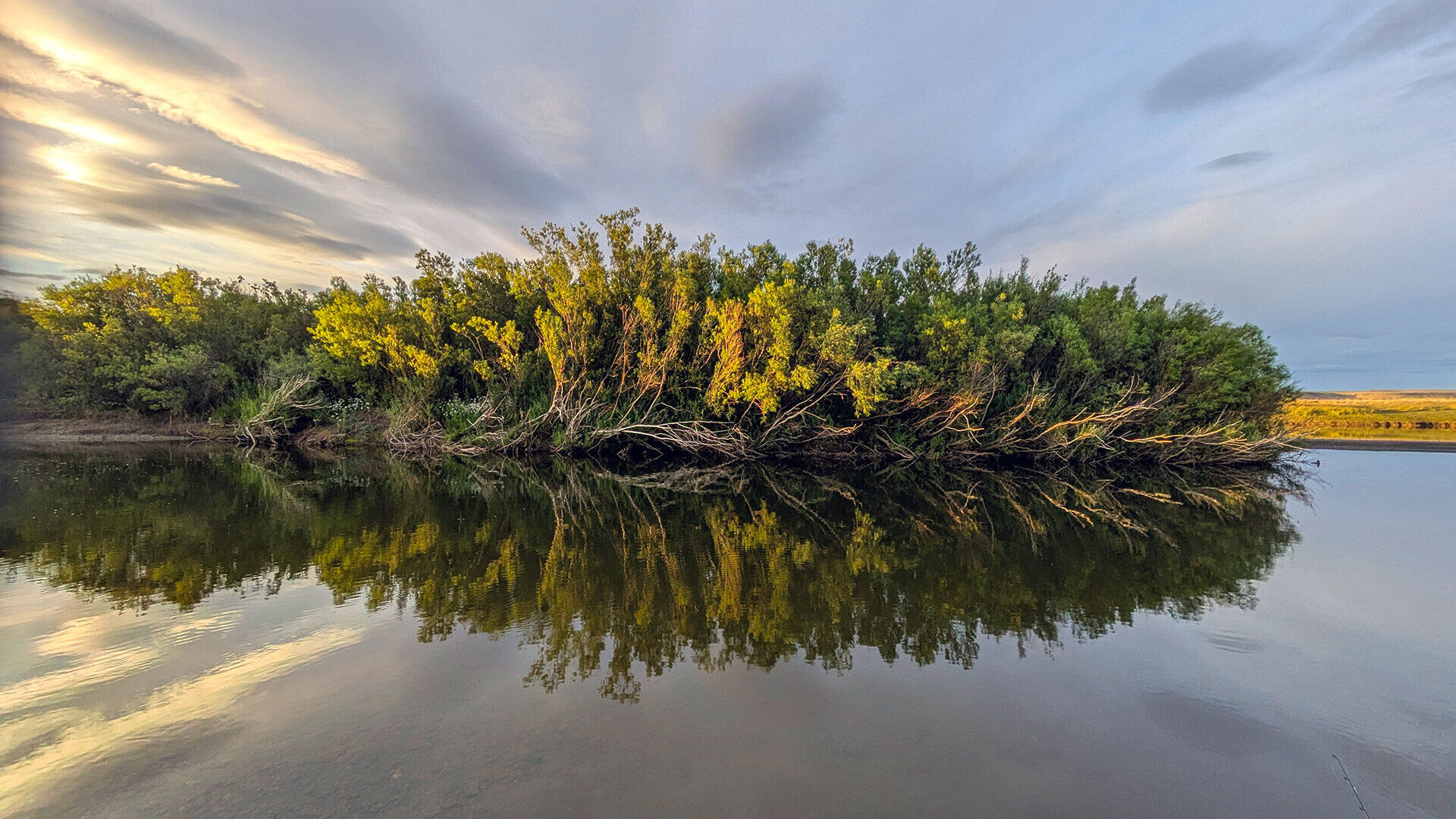 [Fischer-Tagebuch] Patagonien [– Teil 3]