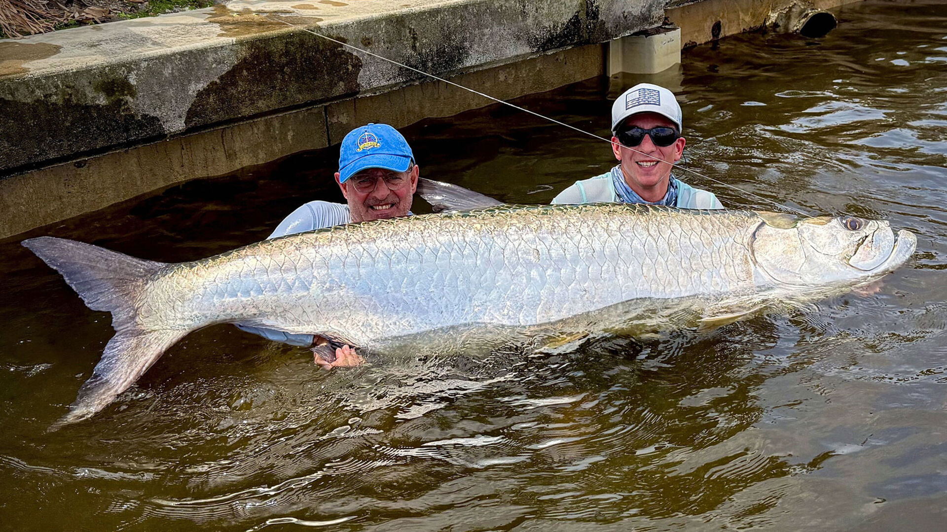 Faszination Tarpon