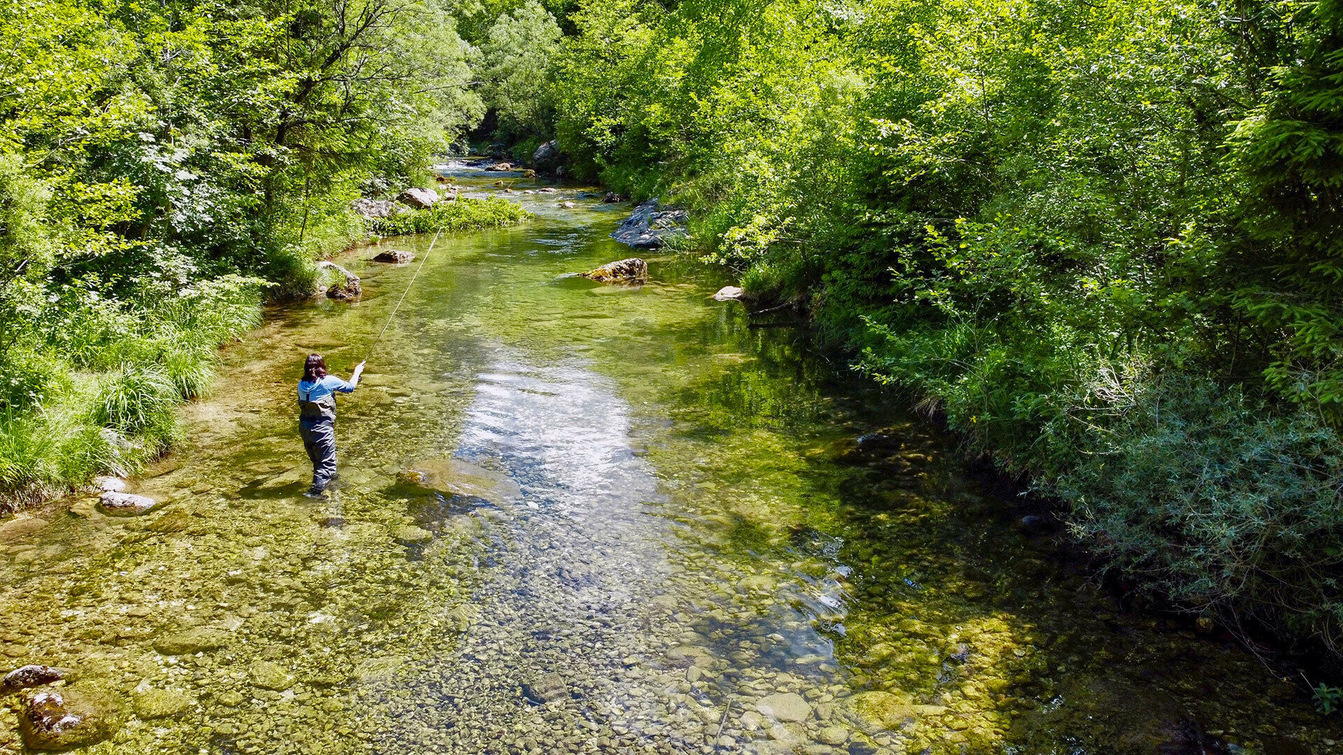 Trentino – nah, gross, wild