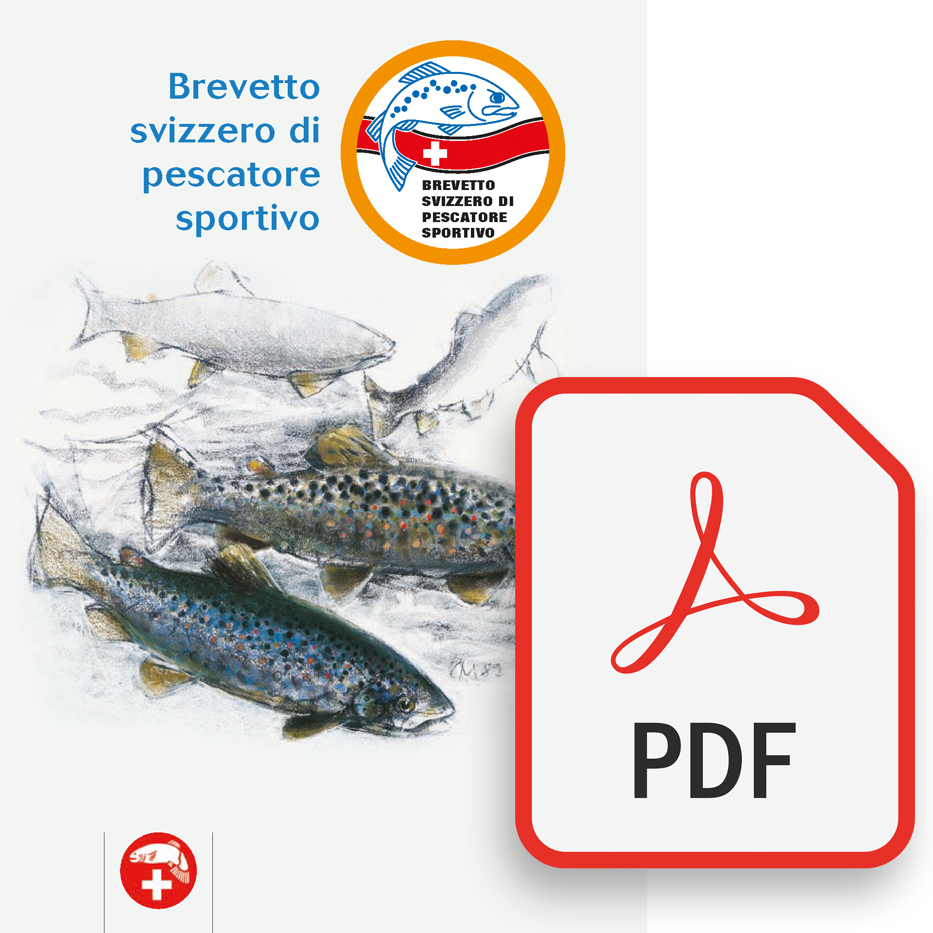 Brevetto svizzero di pescatore sportivo [PDF]
