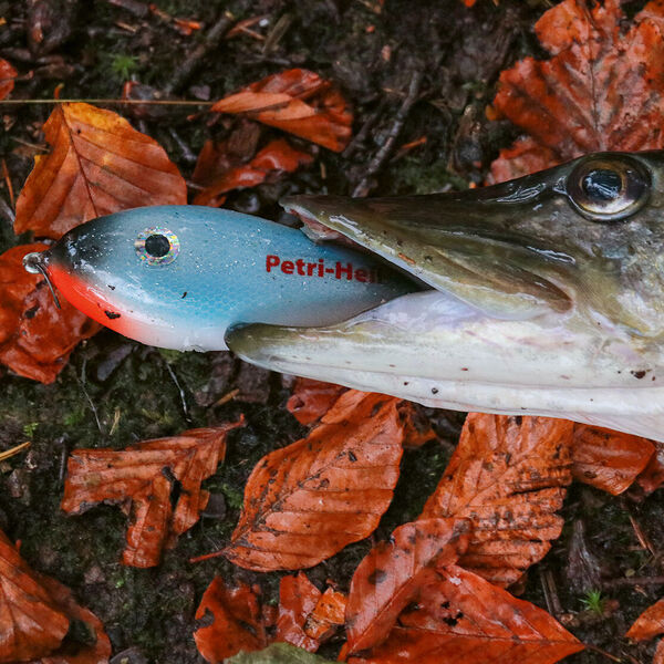 [Jerkbait:]<br>Das kann kein Wobbler!