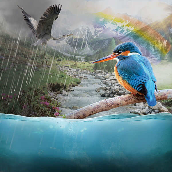 [Naturfilm:<br/>]Raindrop – Die Reise des Wassers