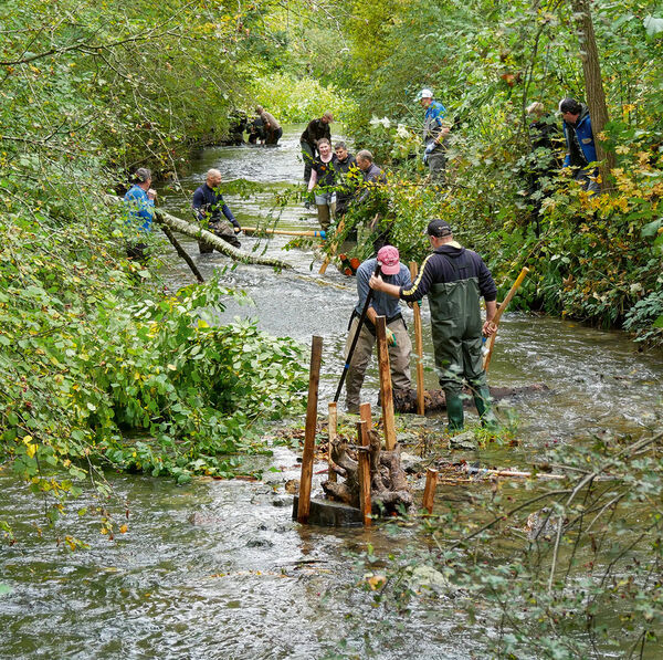 [Fischer schaffen Lebensraum: <br/>]Eine Idee, die bewegt!