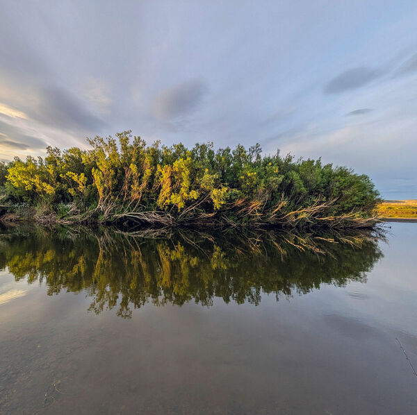 [Fischer-Tagebuch] Patagonien [– Teil 3]