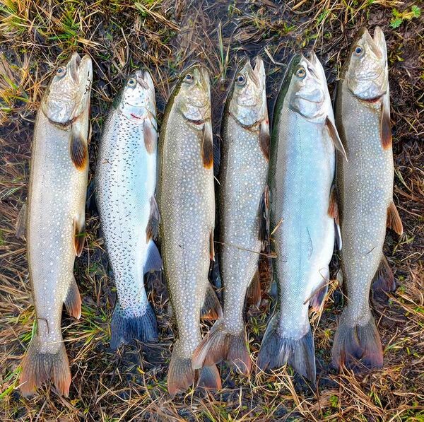 So fängst Du mehr am Bergsee!