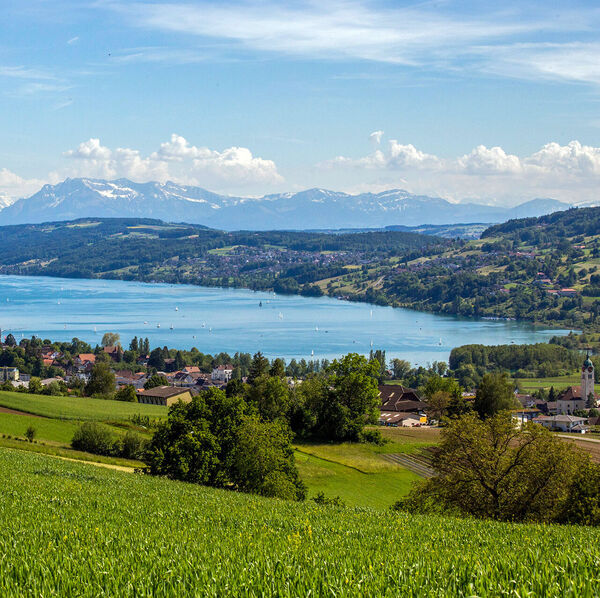 Wenn es ohne Besatz (noch) nicht geht