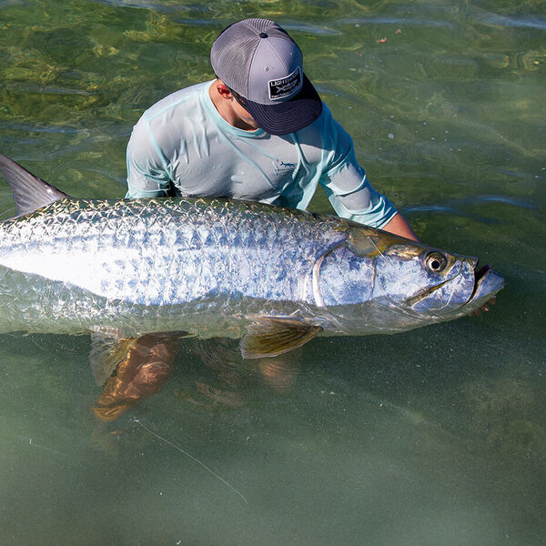 Faszination Tarpon