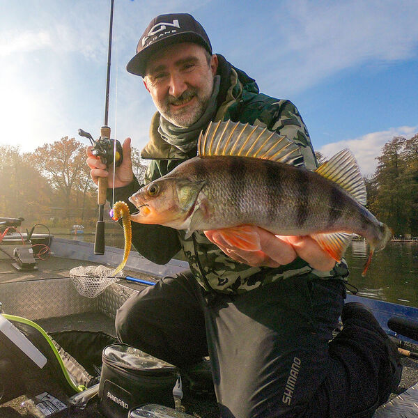 C und T – zwei bewährte Rigs für Winter-Egli