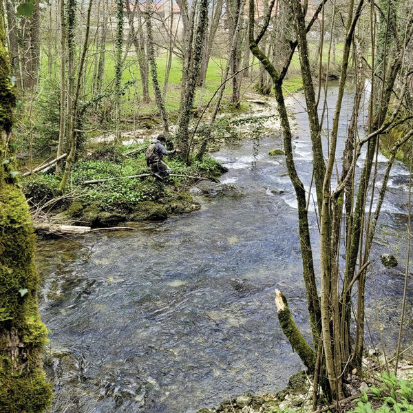 Vielversprechendes Forellenfischen im Kanton Jura