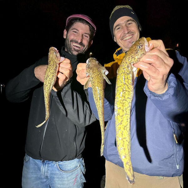 Vom Ufer aus auf Trüschen