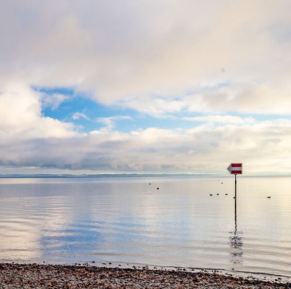 Bodensee: Neues Seeforellen-Schonmass 60 cm