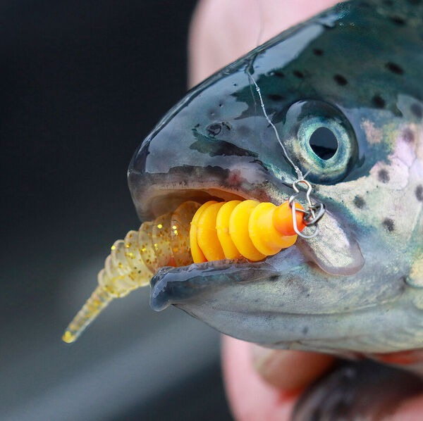 Mit Micro-Jigs auf Lungerersee-Forellen