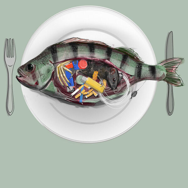 Fish happens