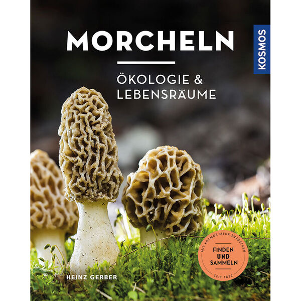 Morcheln [| Ökologie & Lebensräume]