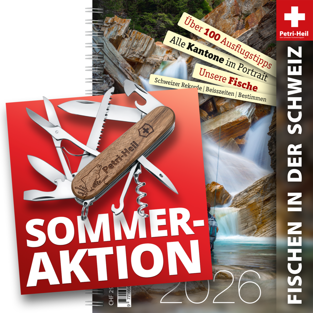 Ausgabe 2026 & Petri-Heil-Sackmesser