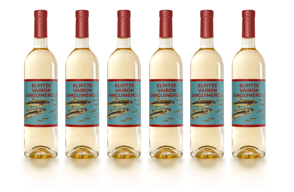 Wein zum Fisch des Jahres 2026