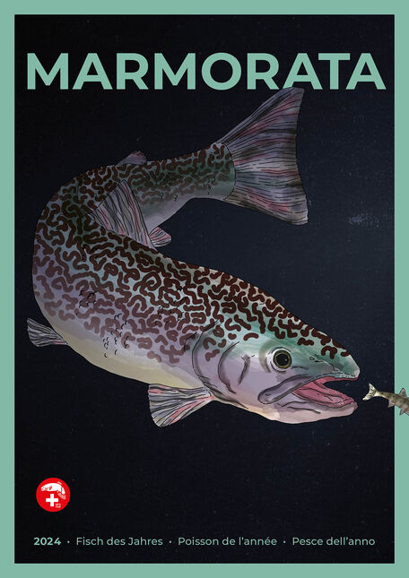 [Poster: ]Fisch des Jahres 2024